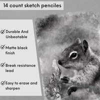 Mr. Pen - lápices de dibujo para dibujo, 14 unidades, lápices de dibujo, lápices de dibujo, lápices de grafito, lápices de grafito para dibujo, lápices de arte para dibujar y sombrear, lápices de sombra para bocetos - Arteztik
