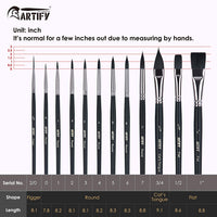 ARTIFY - Juego de 12 pinceles de acuarela de nailon, para pintura al óleo, pintura acrílica, para niños y adultos, principiantes y artistas, forma de lengua de gato plana redonda de higo, color negro - Arteztik
