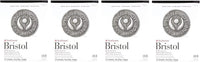 Strathmore (580-72 500 Series Bristol, superficie de placa de 2 capas, 11 x 14 pulgadas, 15 hojas - Arteztik
