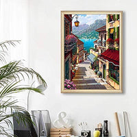 Kit de pintura NEILDEN 5D de diamantes, para adultos, para trabajos manuales, pintura de bordado con diamantes de imitación, pintura de punto de cruz, manualidades para decorar la pared del hogar, 30x40 cm - Arteztik
