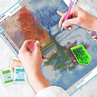 Kit de pintura NEILDEN 5D de diamantes, para adultos, para trabajos manuales, pintura de bordado con diamantes de imitación, pintura de punto de cruz, manualidades para decorar la pared del hogar, 30x40 cm - Arteztik
