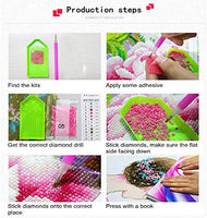 Witfox - Kit de pintura de diamantes 5D para bricolaje con números y lirios de agua, 15.7 x 11.8 in - Arteztik
