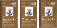 Strathmore (298-103 400 Series Watercolor Pad, 5.5"x8.5", 12 Sheets (Тwo Рack) - Arteztik
