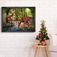 Kit de pintura NEILDEN 5D de diamantes, para adultos, para trabajos manuales, pintura de bordado con diamantes de imitación, pintura de punto de cruz, manualidades para decorar la pared del hogar, 30x40 cm - Arteztik
