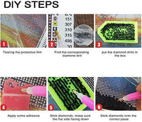 Witfox - Kit de pintura de diamantes 5D para bricolaje con números y lirios de agua, 15.7 x 11.8 in - Arteztik
